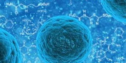 干细胞可助心脏“返老还童” 干细胞可助心脏“返老还童”