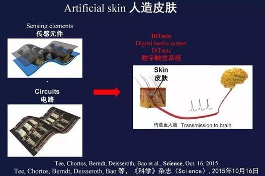 鲍哲南：柔性电子将“颠覆”智能手机时代