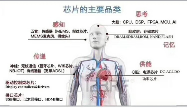 存储器/处理器/阻容暴涨背后 谁将引领国产MCU未来？