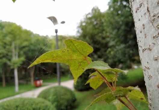 抗衡小米8SE的360手机N7 Pro 全面评测