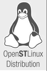 遇见Linux，STM32就从MCU升级到了MPU！