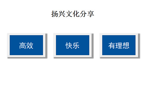扬兴荣获压电晶体行业卓 越企业
