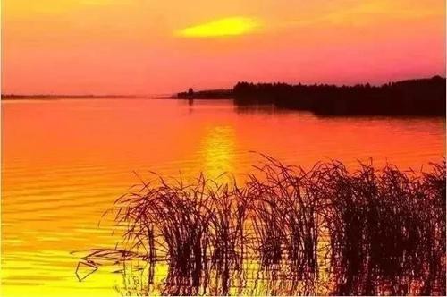 东阿阿胶燕奴娇&怡亚通&劲仪发布会 | 你不得不来的八大理由