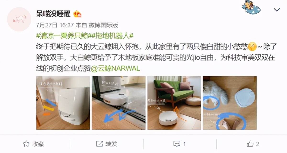 云鲸“小白鲸”面世一周年,让更多人享受中国智慧科技魅力