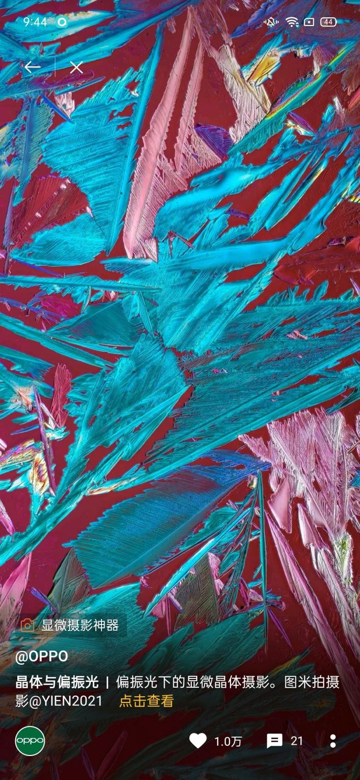 OPPO乐划锁屏“见微知著”摄影大赛完美落幕，优质作品获得亿级流量扶持