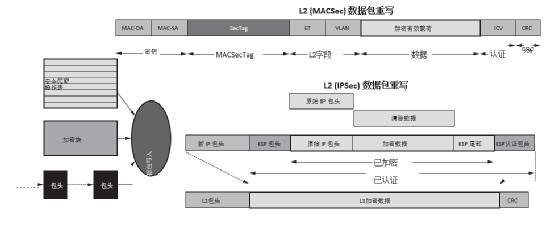 可编程能力在新一代安全设备中的重要性