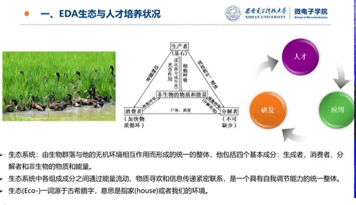 创芯强链,双驱发展-2022中国(深圳)集成电路峰会在深圳坪山，第二天论坛热烈进行中(下午论坛精彩内容)