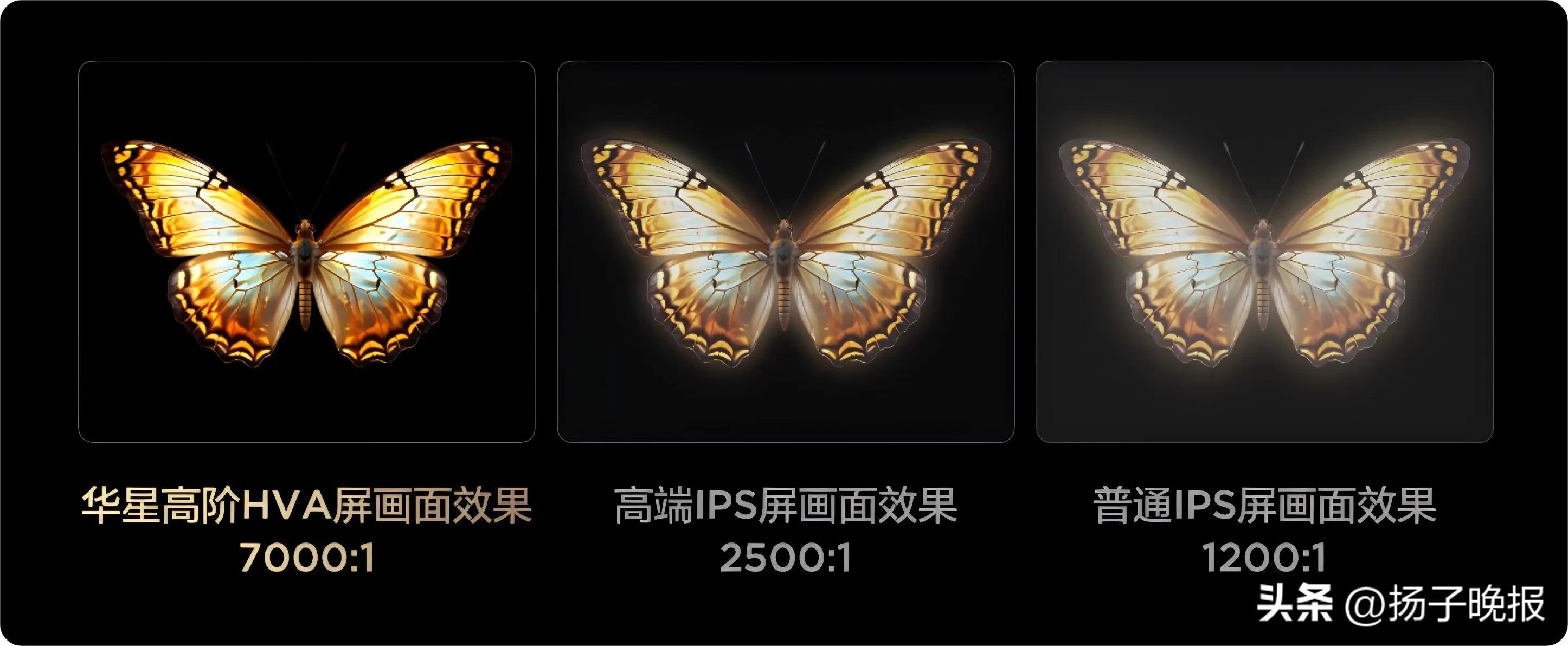 用领先技术破局，TCL电视以技术普惠战略树立行业标杆